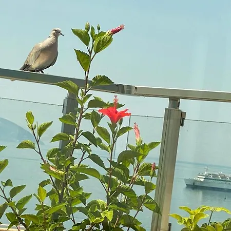 Apartment Ditas Vlorë