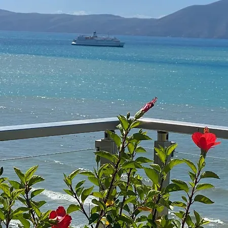 Ditas Vlorë
